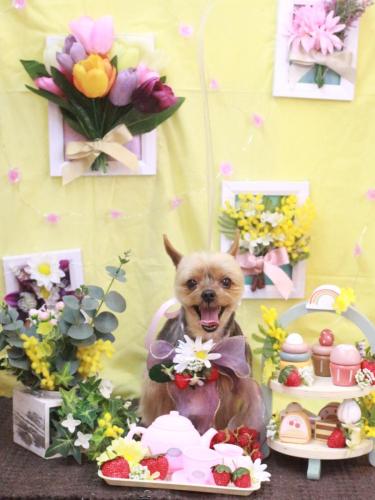 20230301リムちゃん